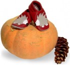 Bild für den Newsletter Herbst 2009